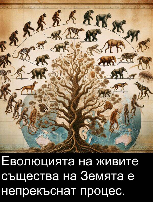 непрекъснат: Еволюцията на живите същества на Земята е непрекъснат процес.