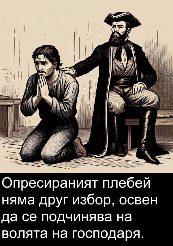 подчинява: Опресираният плебей няма друг избор, освен да се подчинява на волята на господаря.