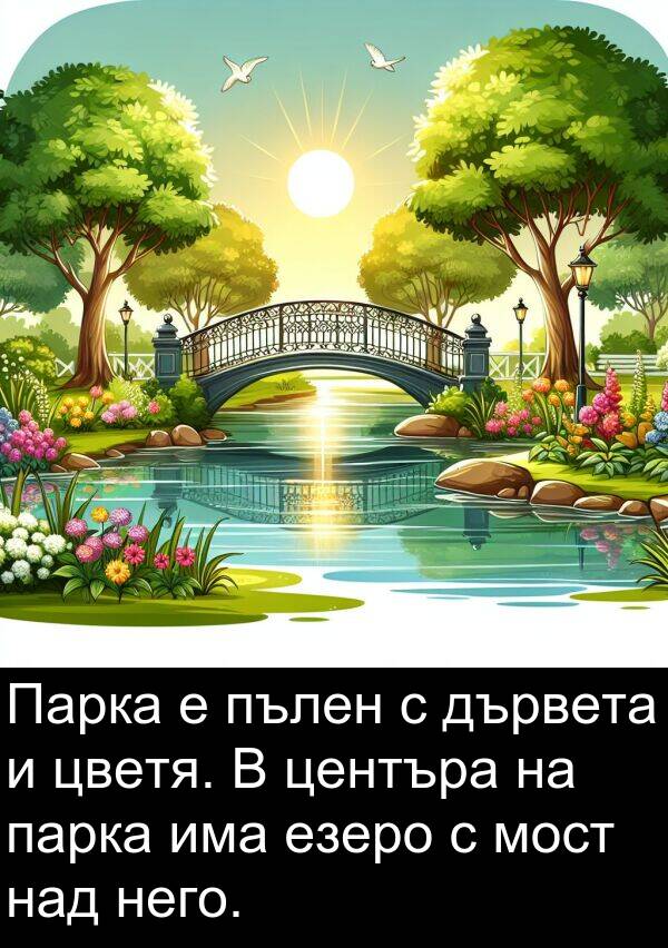 езеро: Парка е пълен с дървета и цветя. В центъра на парка има езеро с мост над него.