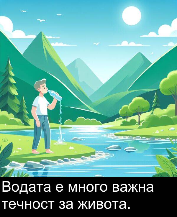 много: Водата е много важна течност за живота.