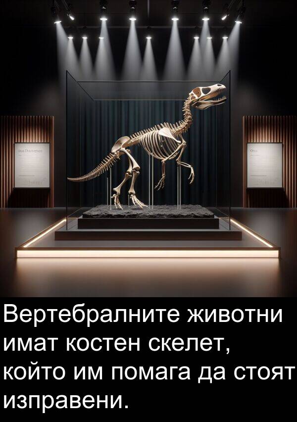 имат: Вертебралните животни имат костен скелет, който им помага да стоят изправени.