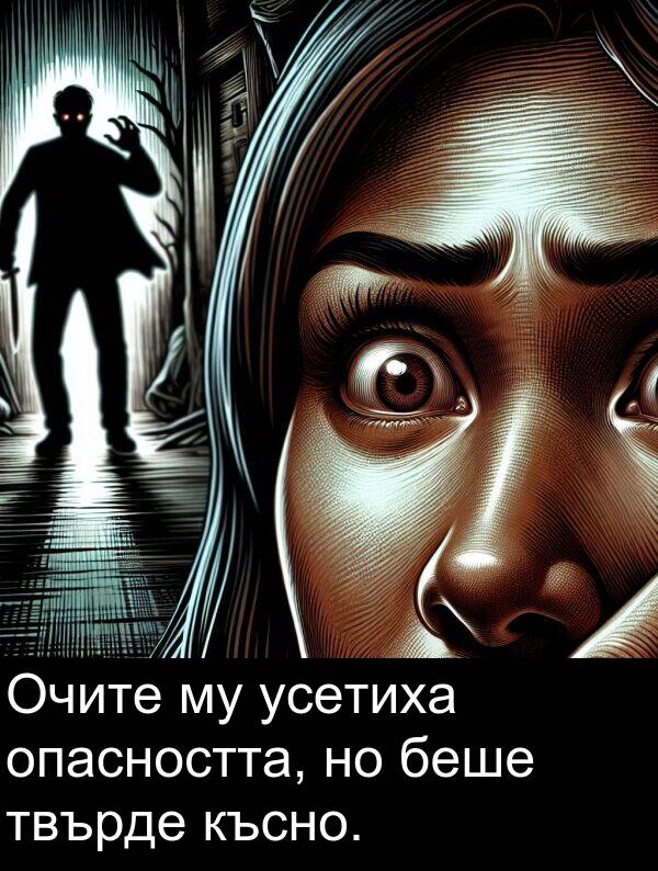 опасността: Очите му усетиха опасността, но беше твърде късно.