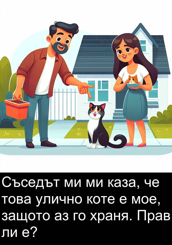 защото: Съседът ми ми каза, че това улично коте е мое, защото аз го храня. Прав ли е?