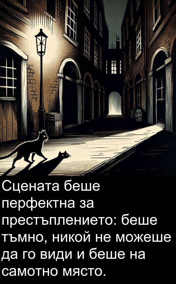 самотно: Сцената беше перфектна за престъплението: беше тъмно, никой не можеше да го види и беше на самотно място.
