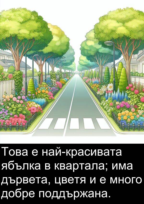 ябълка: Това е най-красивата ябълка в квартала; има дървета, цветя и е много добре поддържана.