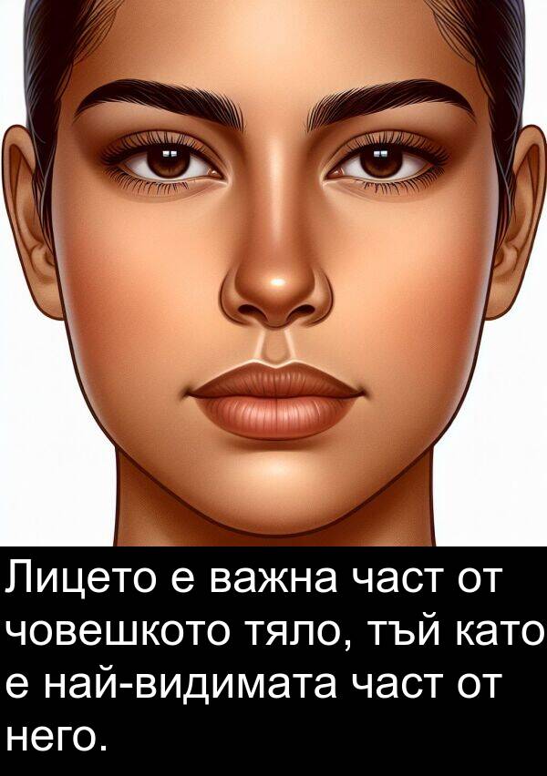 част: Лицето е важна част от човешкото тяло, тъй като е най-видимата част от него.