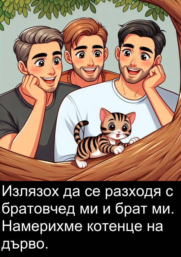 брат: Излязох да се разходя с братовчед ми и брат ми. Намерихме котенце на дърво.