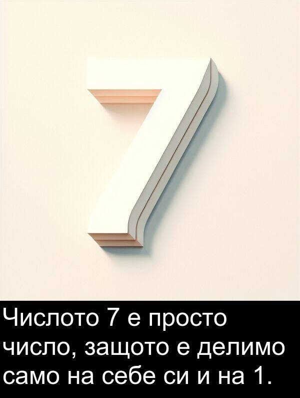 само: Числото 7 е просто число, защото е делимо само на себе си и на 1.