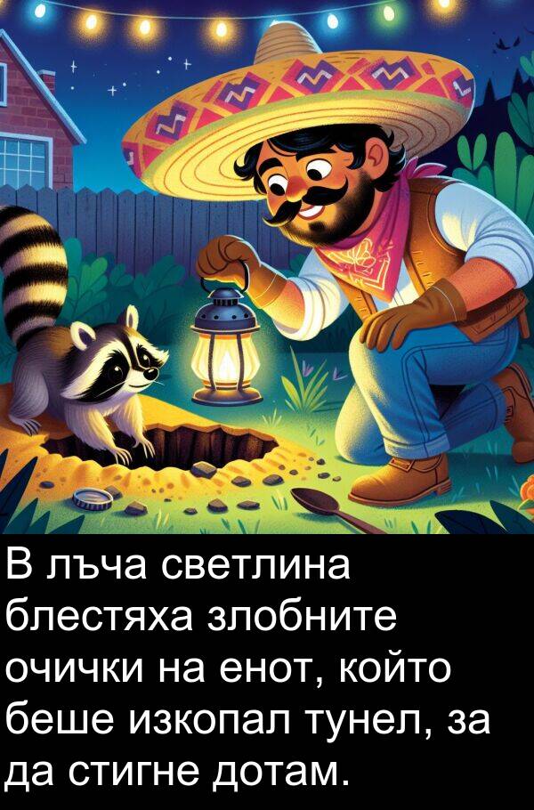 стигне: В лъча светлина блестяха злобните очички на енот, който беше изкопал тунел, за да стигне дотам.
