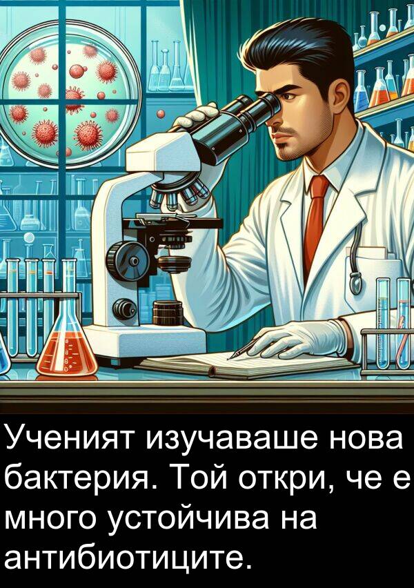 бактерия: Ученият изучаваше нова бактерия. Той откри, че е много устойчива на антибиотиците.