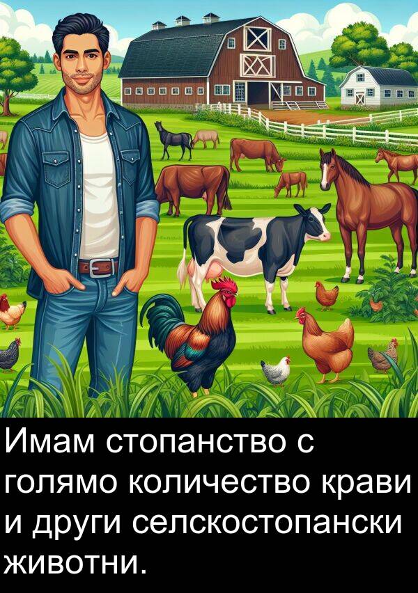 голямо: Имам стопанство с голямо количество крави и други селскостопански животни.