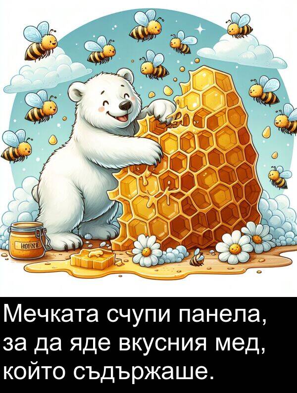 яде: Мечката счупи панела, за да яде вкусния мед, който съдържаше.