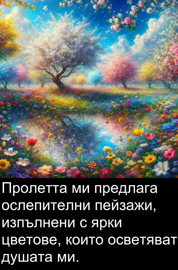 осветяват: Пролетта ми предлага ослепителни пейзажи, изпълнени с ярки цветове, които осветяват душата ми.