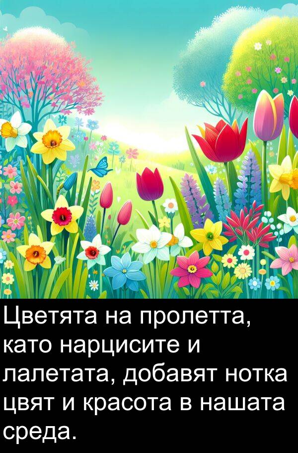 лалетата: Цветята на пролетта, като нарцисите и лалетата, добавят нотка цвят и красота в нашата среда.