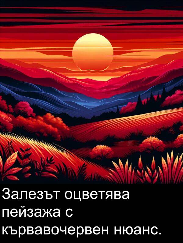 пейзажа: Залезът оцветява пейзажа с кървавочервен нюанс.