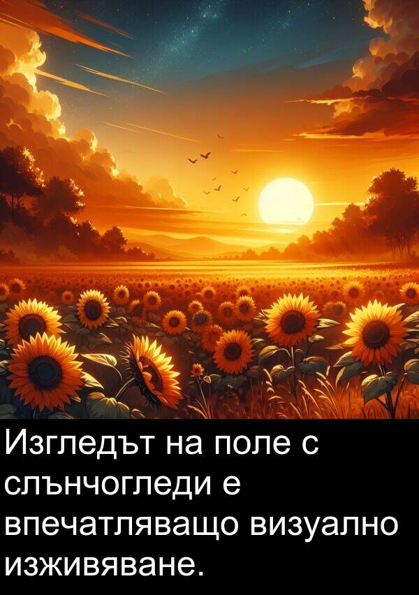 поле: Изгледът на поле с слънчогледи е впечатляващо визуално изживяване.
