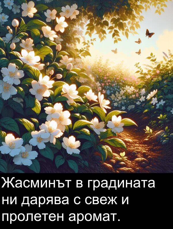дарява: Жасминът в градината ни дарява с свеж и пролетен аромат.