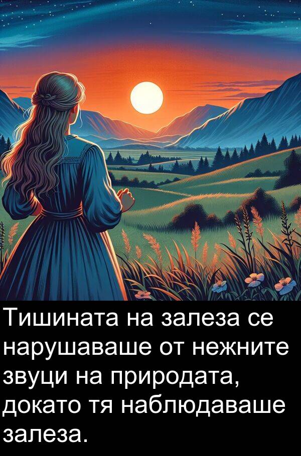 природата: Тишината на залеза се нарушаваше от нежните звуци на природата, докато тя наблюдаваше залеза.