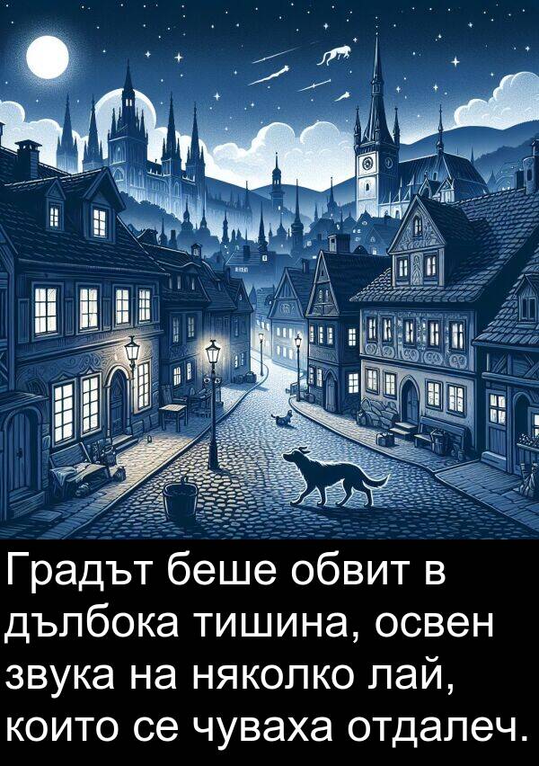 обвит: Градът беше обвит в дълбока тишина, освен звука на няколко лай, които се чуваха отдалеч.