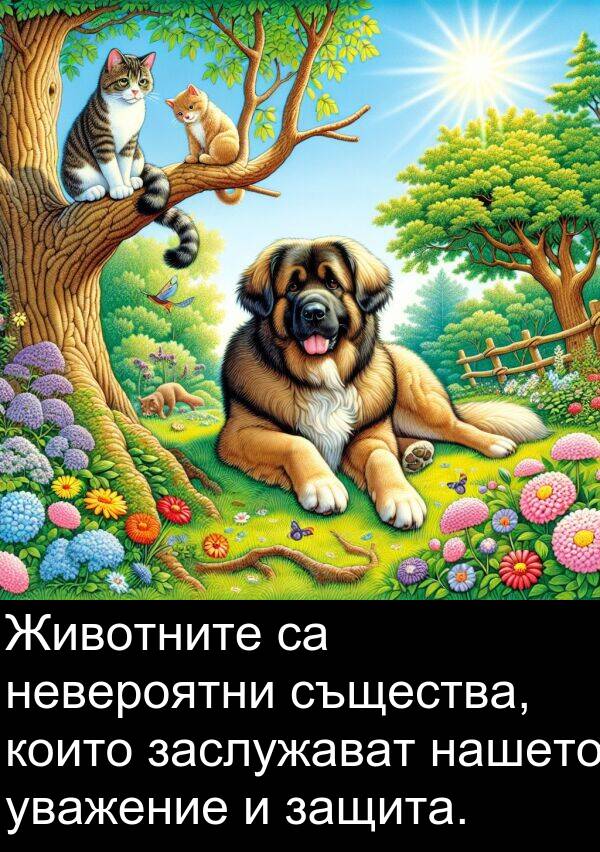 същества: Животните са невероятни същества, които заслужават нашето уважение и защита.