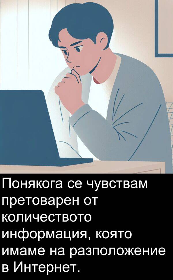 информация: Понякога се чувствам претоварен от количеството информация, която имаме на разположение в Интернет.