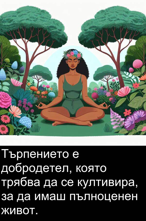 добродетел: Търпението е добродетел, която трябва да се култивира, за да имаш пълноценен живот.