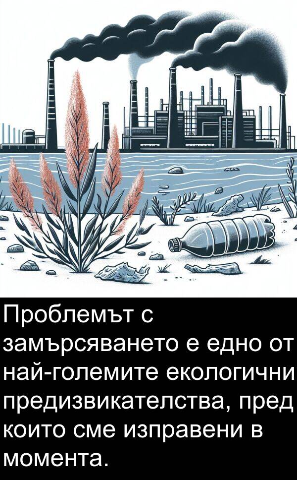 едно: Проблемът с замърсяването е едно от най-големите екологични предизвикателства, пред които сме изправени в момента.