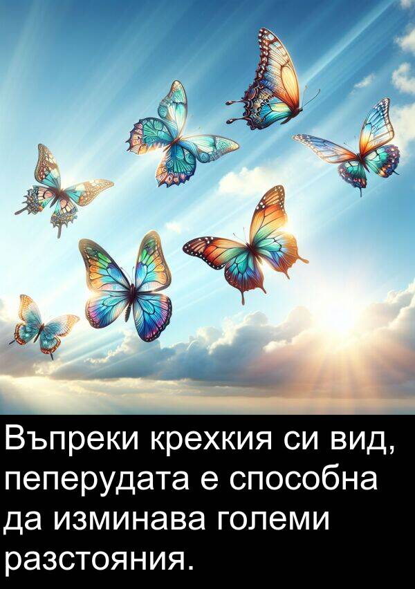 разстояния: Въпреки крехкия си вид, пеперудата е способна да изминава големи разстояния.
