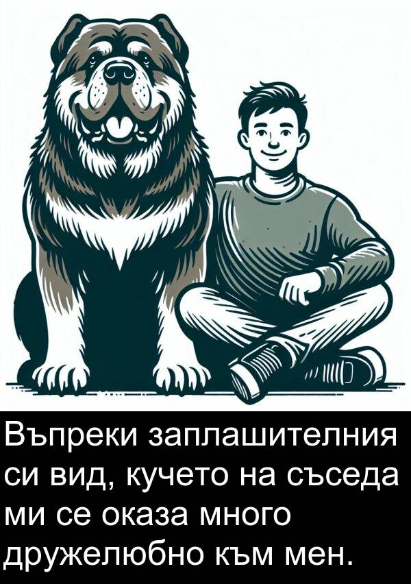 съседа: Въпреки заплашителния си вид, кучето на съседа ми се оказа много дружелюбно към мен.