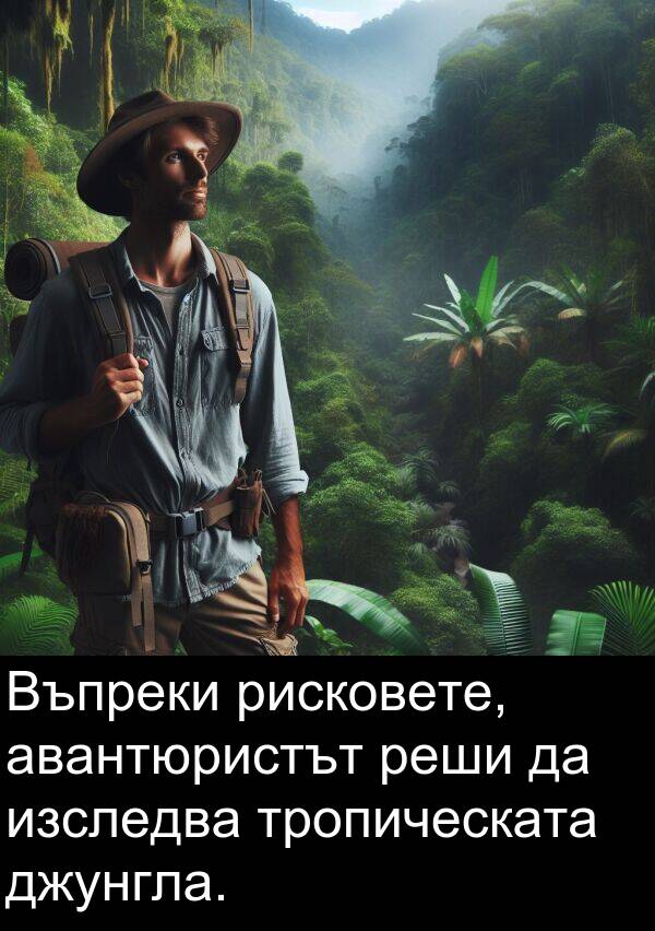 авантюристът: Въпреки рисковете, авантюристът реши да изследва тропическата джунгла.