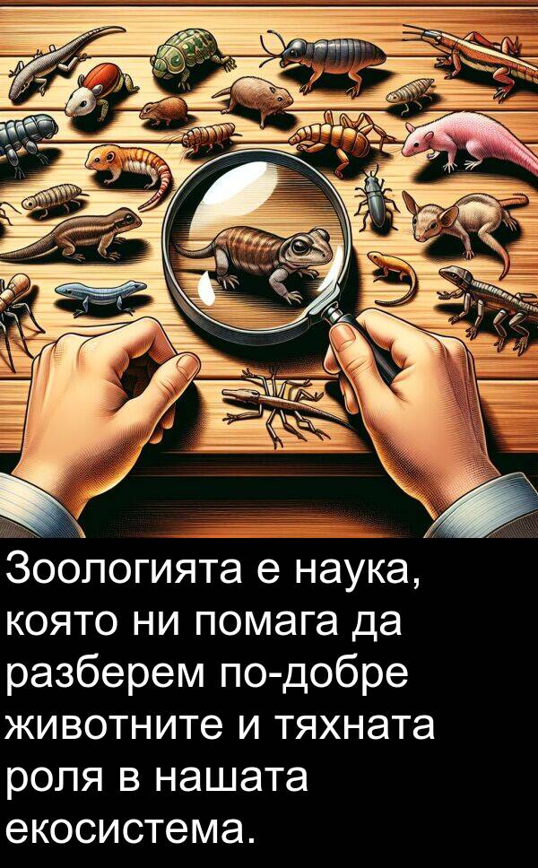 екосистема: Зоологията е наука, която ни помага да разберем по-добре животните и тяхната роля в нашата екосистема.