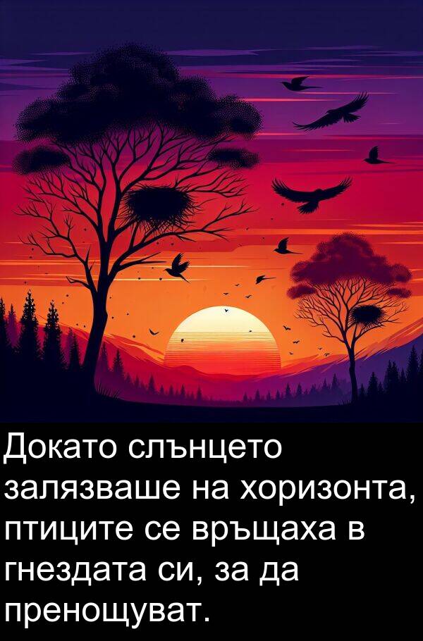 птиците: Докато слънцето залязваше на хоризонта, птиците се връщаха в гнездата си, за да пренощуват.