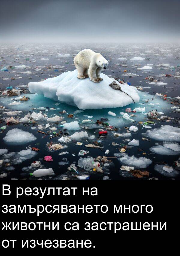 изчезване: В резултат на замърсяването много животни са застрашени от изчезване.