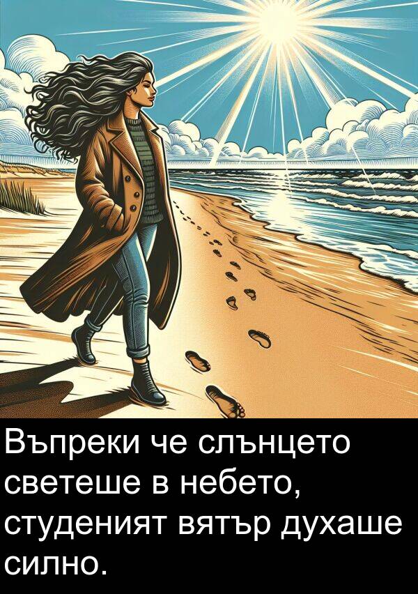 светеше: Въпреки че слънцето светеше в небето, студеният вятър духаше силно.