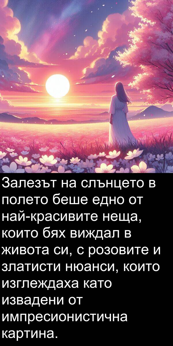 полето: Залезът на слънцето в полето беше едно от най-красивите неща, които бях виждал в живота си, с розовите и златисти нюанси, които изглеждаха като извадени от импресионистична картина.