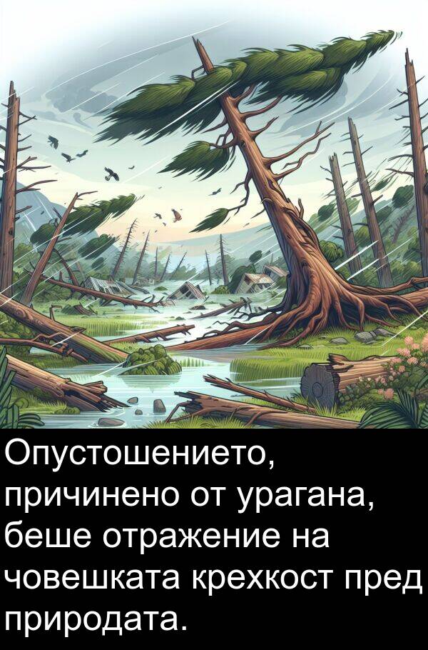 природата: Опустошението, причинено от урагана, беше отражение на човешката крехкост пред природата.