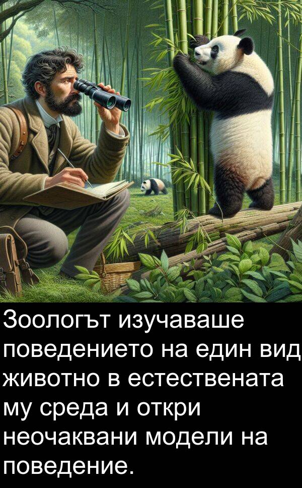 откри: Зоологът изучаваше поведението на един вид животно в естествената му среда и откри неочаквани модели на поведение.