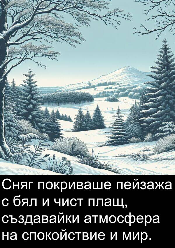 бял: Сняг покриваше пейзажа с бял и чист плащ, създавайки атмосфера на спокойствие и мир.