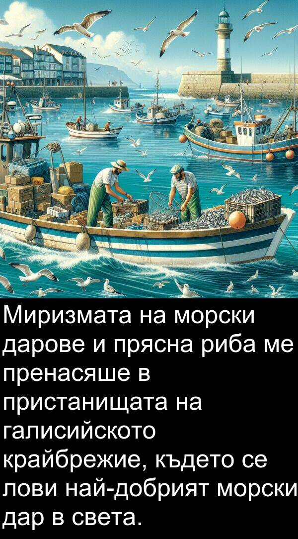 дар: Миризмата на морски дарове и прясна риба ме пренасяше в пристанищата на галисийското крайбрежие, където се лови най-добрият морски дар в света.