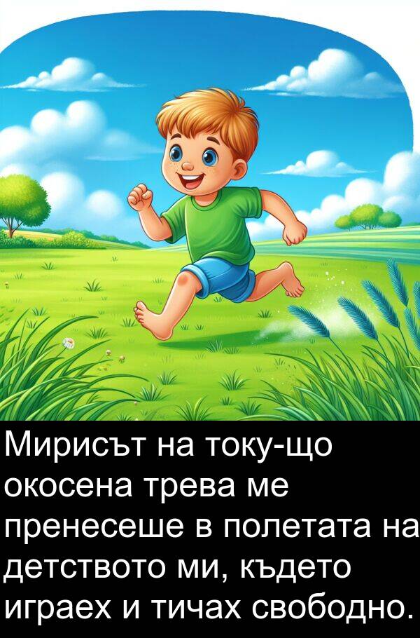 свободно: Мирисът на току-що окосена трева ме пренесеше в полетата на детството ми, където играех и тичах свободно.
