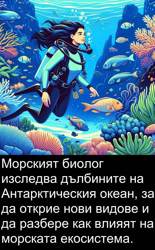 екосистема: Морският биолог изследва дълбините на Антарктическия океан, за да открие нови видове и да разбере как влияят на морската екосистема.