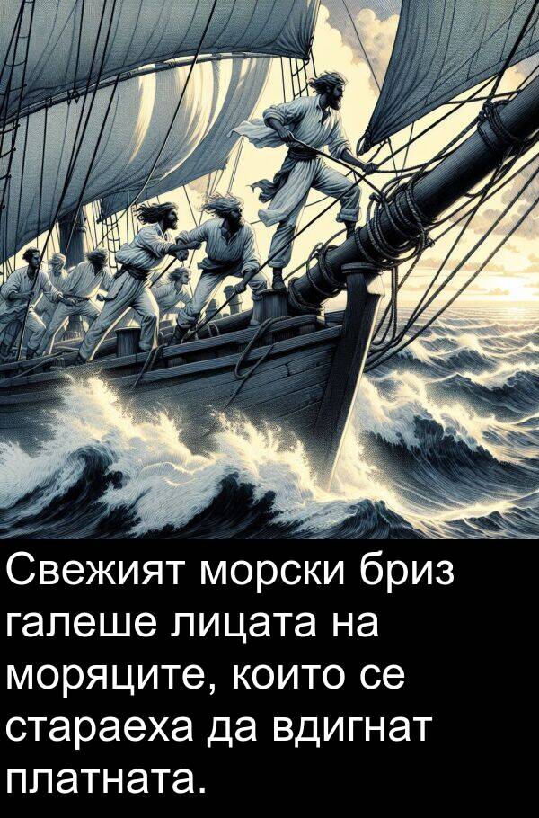 платната: Свежият морски бриз галеше лицата на моряците, които се стараеха да вдигнат платната.