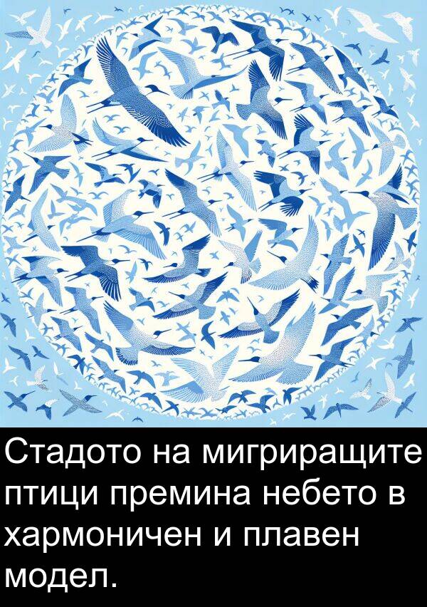 птици: Стадото на мигриращите птици премина небето в хармоничен и плавен модел.