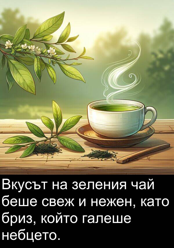 свеж: Вкусът на зеления чай беше свеж и нежен, като бриз, който галеше небцето.
