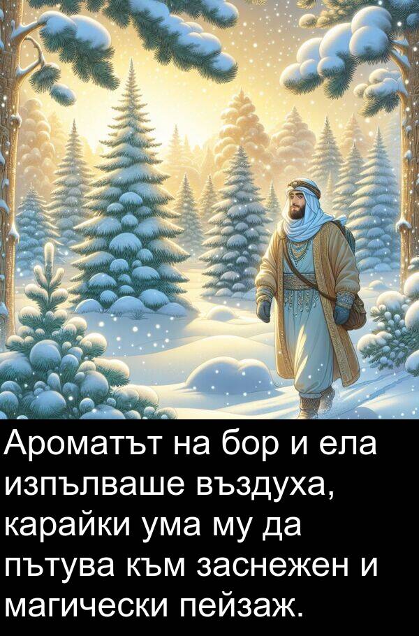 магически: Ароматът на бор и ела изпълваше въздуха, карайки ума му да пътува към заснежен и магически пейзаж.
