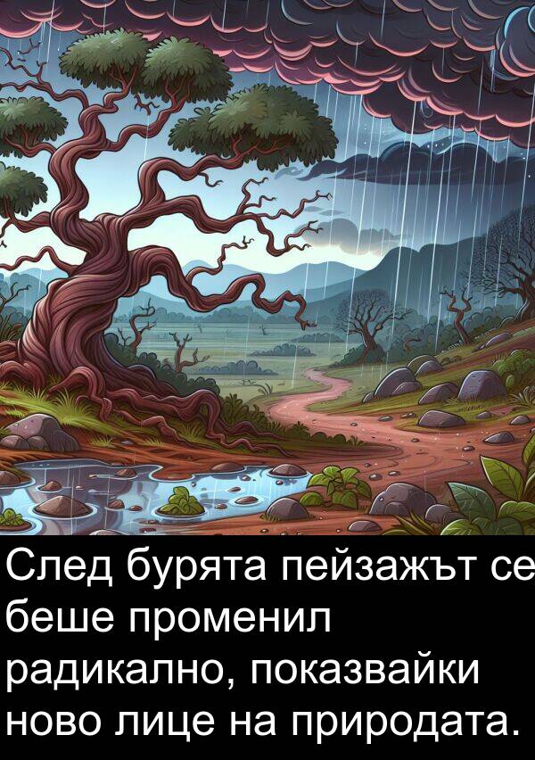 радикално: След бурята пейзажът се беше променил радикално, показвайки ново лице на природата.