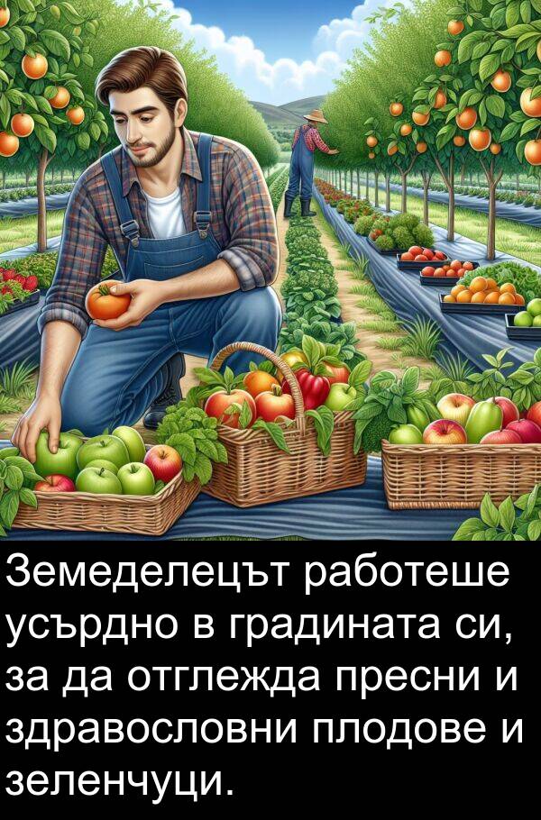 работеше: Земеделецът работеше усърдно в градината си, за да отглежда пресни и здравословни плодове и зеленчуци.