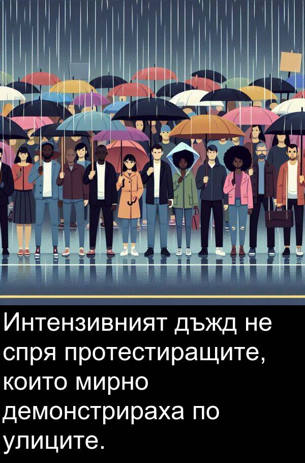 спря: Интензивният дъжд не спря протестиращите, които мирно демонстрираха по улиците.