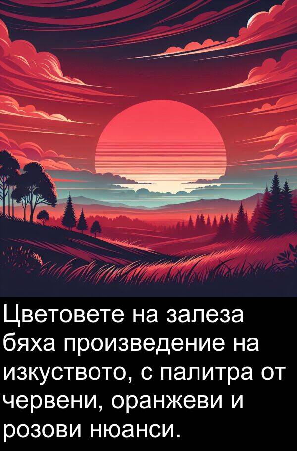 палитра: Цветовете на залеза бяха произведение на изкуството, с палитра от червени, оранжеви и розови нюанси.