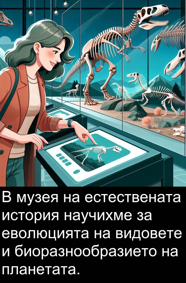 еволюцията: В музея на естествената история научихме за еволюцията на видовете и биоразнообразието на планетата.